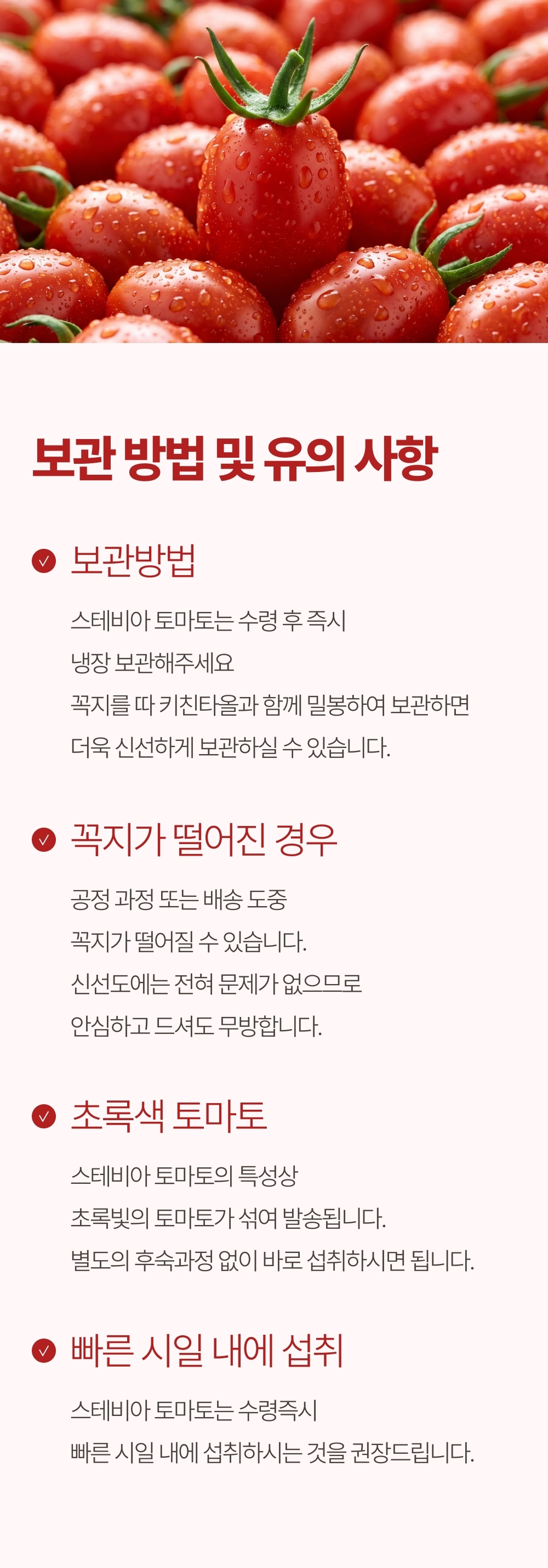 [1일1과]고당도 스테비아 프리미엄 방울토마토