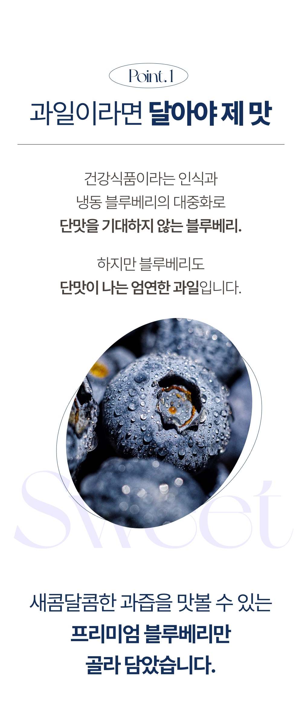 [1일1과]국산 무농약 고당도 생 블루베리 16mm이상
