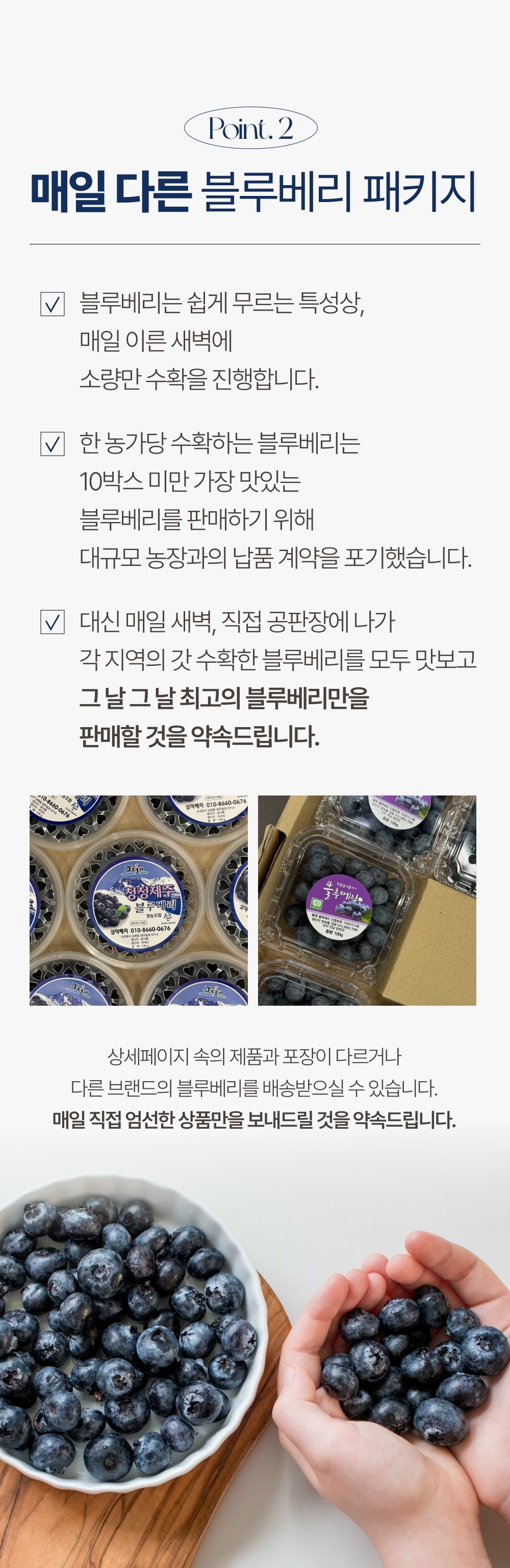 [1일1과]국산 무농약 고당도 생 블루베리 16mm이상