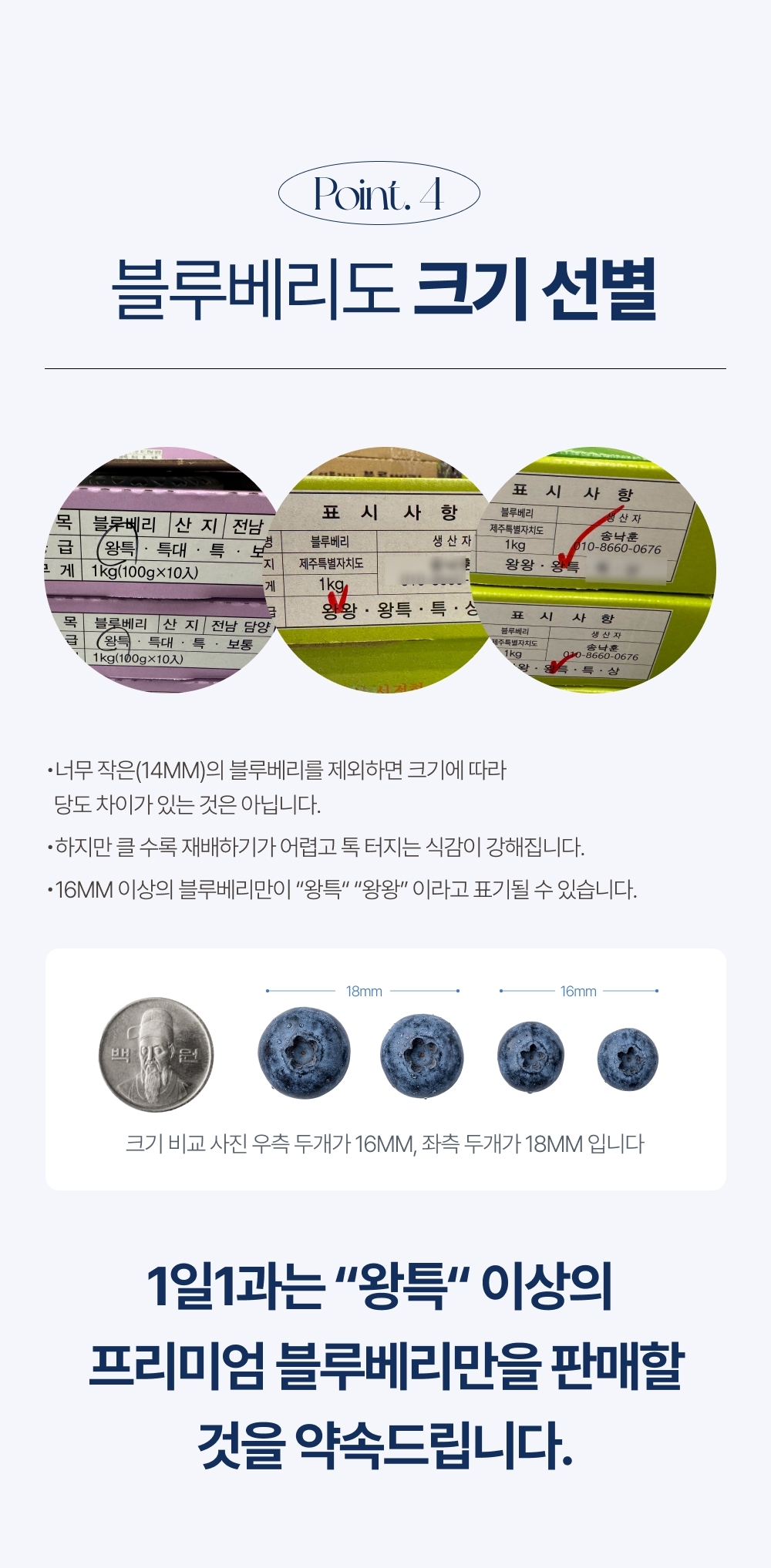 [1일1과]국산 무농약 고당도 생 블루베리 16mm이상