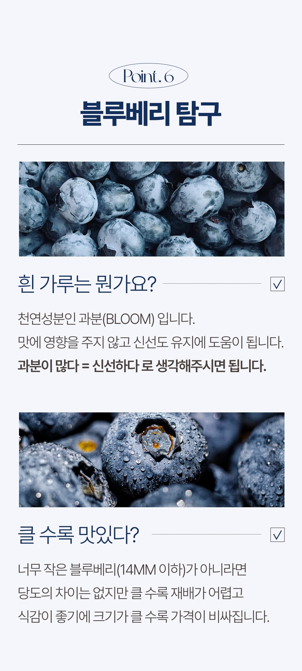 [1일1과]국산 무농약 고당도 생 블루베리 16mm이상