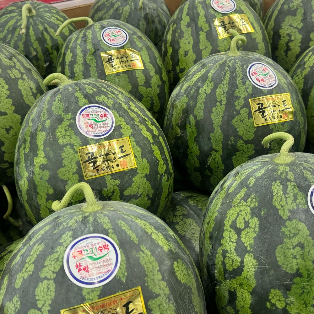 [1일1과]고당도 우곡 꿀 수박 택1(5~8kg)