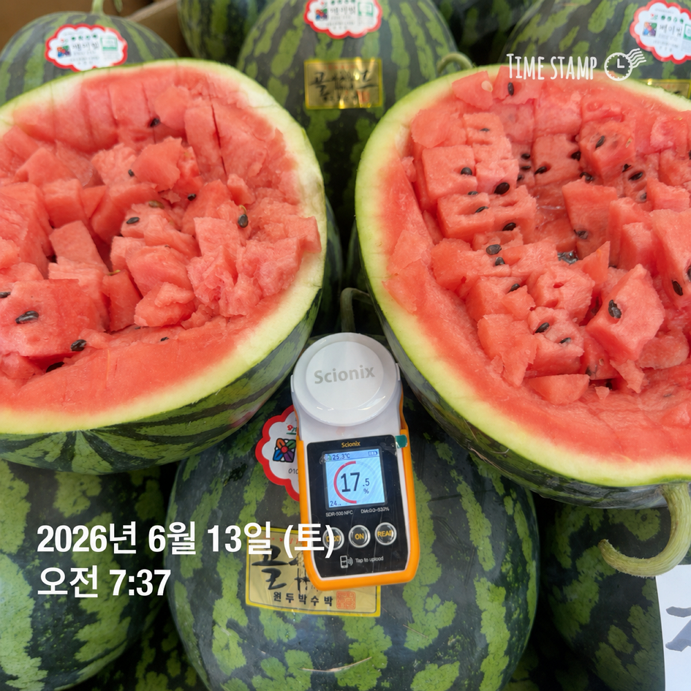 ★신선위크★ (농할) 국내산 수박 (7KG이상) 원두막골드 [1일1과]
