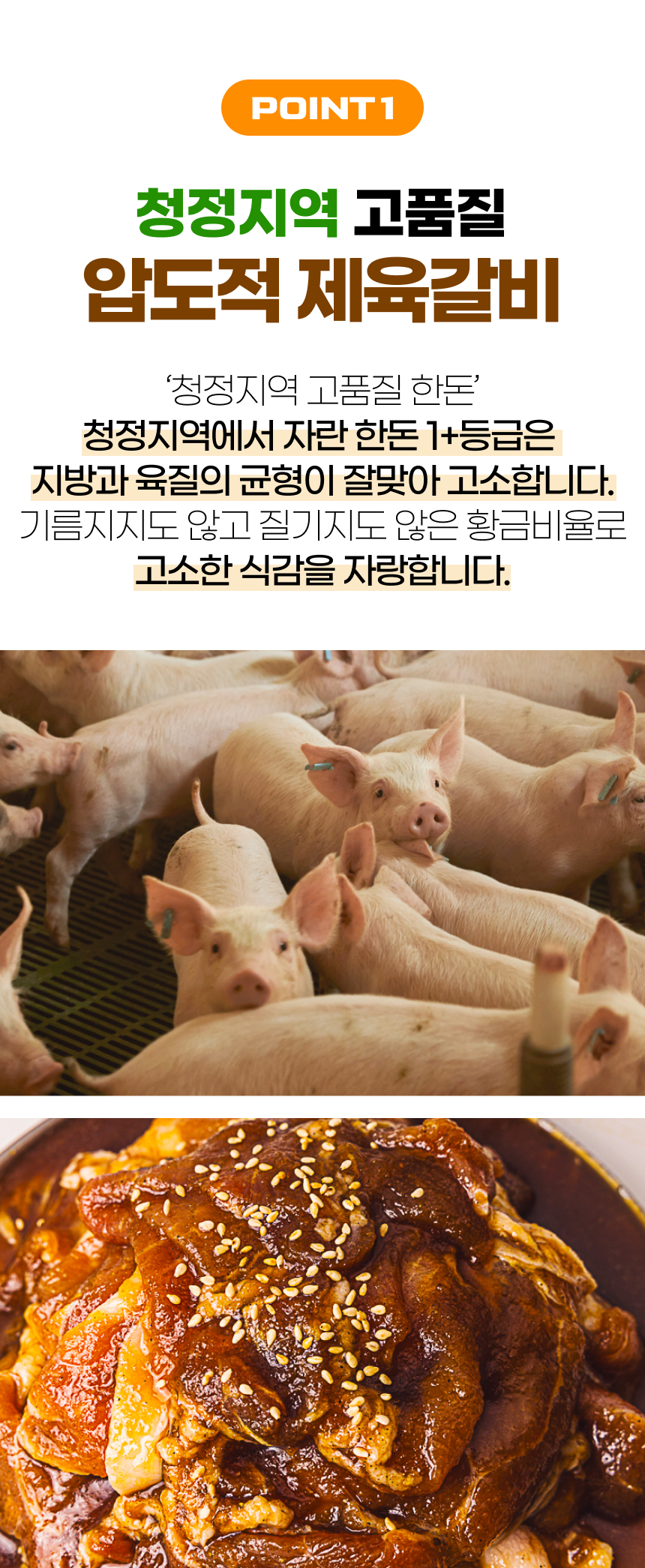 갈비맛집1995 제육갈비 숙성양념 국내산 (냉동)