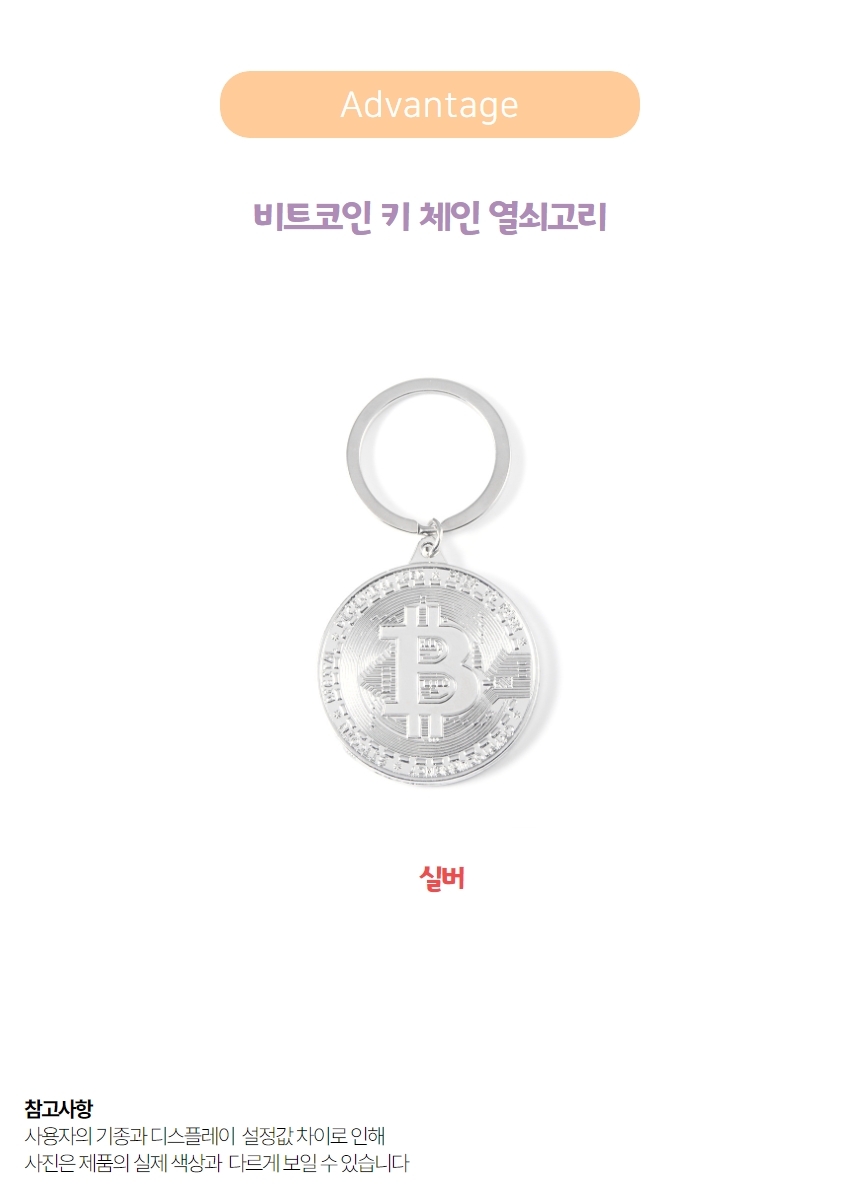 더사오몰인테리어 / 주방 / 팬시동전 화폐 주화 모형 키링 비트코인키체인 실버