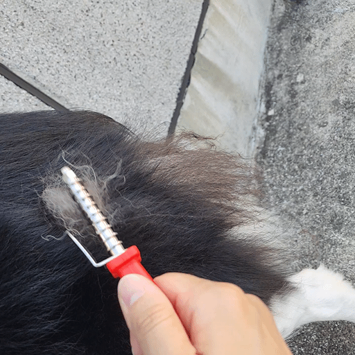 KakaoTalk_20250827_104523367.gif