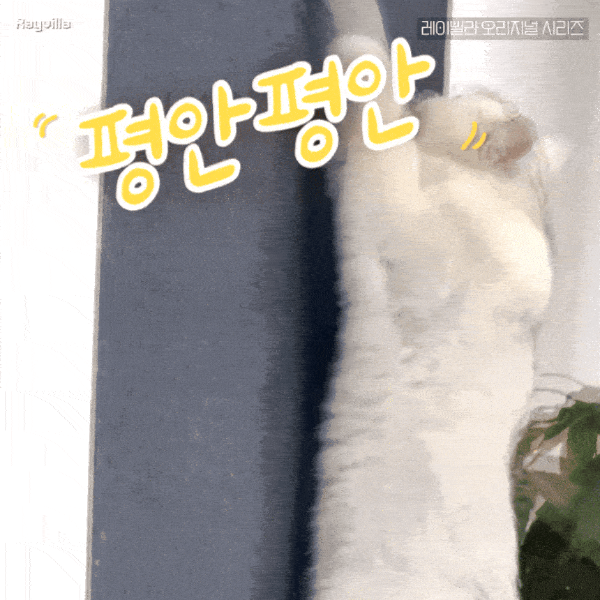 고양이 개 호르몬 페로몬 턱드름 펠리웨이 어뎁틸 훈증기