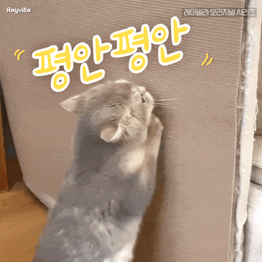 고양이 개 호르몬 페로몬 턱드름 펠리웨이 어뎁틸 훈증기