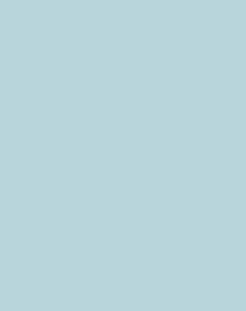 80%20MT01.gif