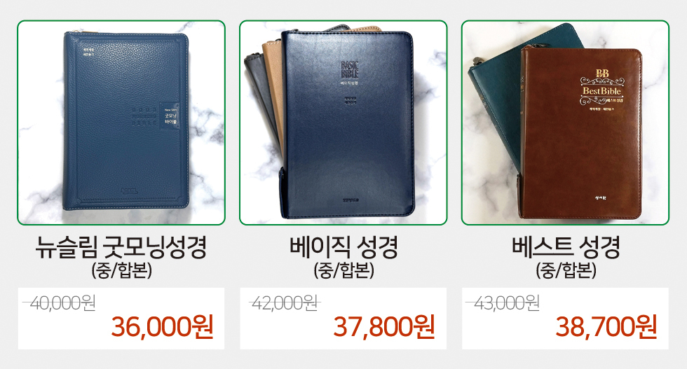 중사이즈성경2