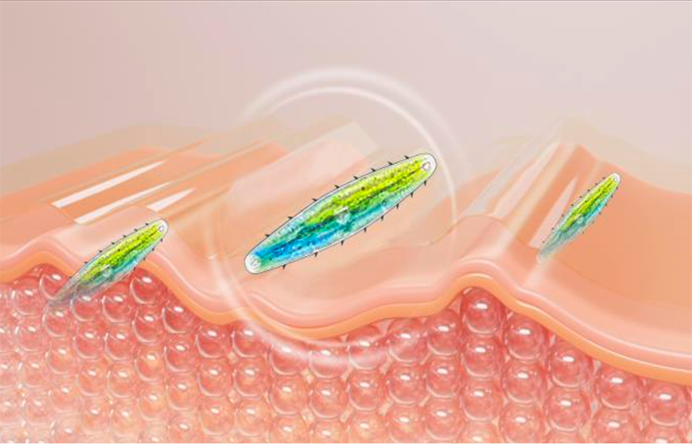 sérum exosome meditherapy k-beauty