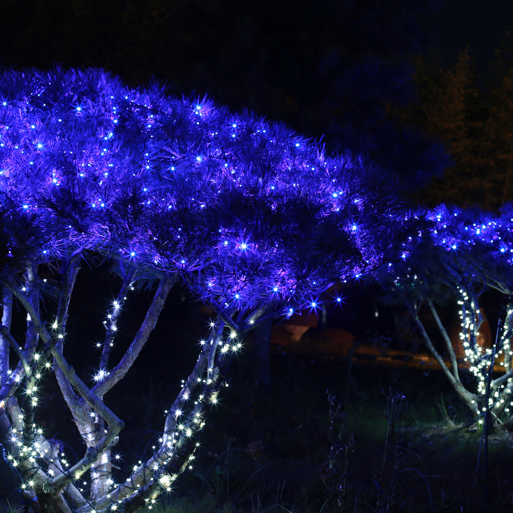 [은하수] 100구 녹색선 LED 남색 지니전구(10M) (전원잭별매) (연결가능) (150cm∼500cm트리용)