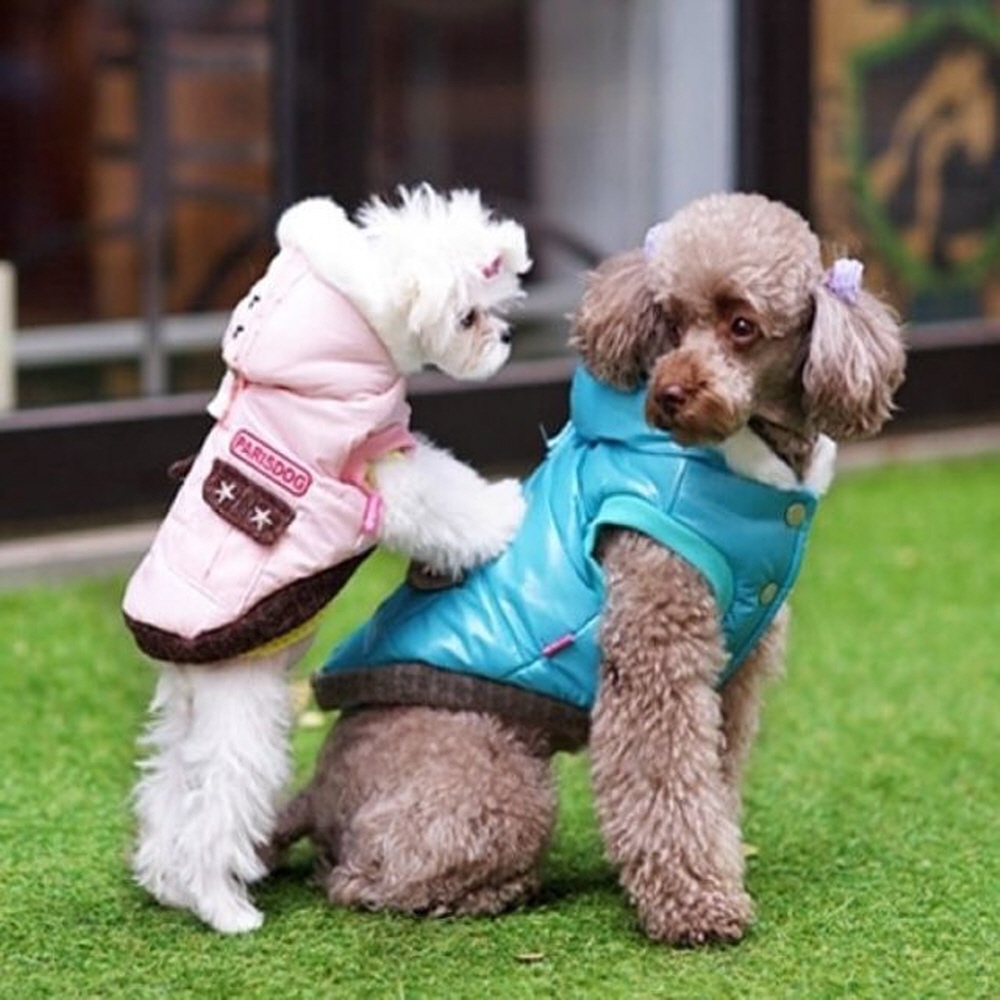 (패리스독) 강아지 고양이 파일럿 패딩 블루 패션용품 반려동물 생활 건강