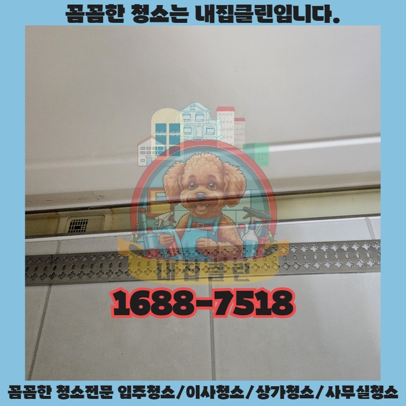 백석동 원룸, 나만의 아늑한 공간으로 만드는 첫걸음은