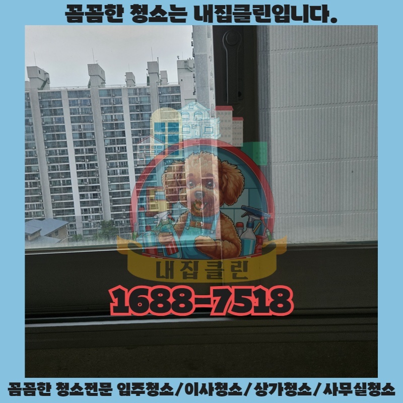 이사 후 곰팡이, 완벽 제거 방법은 없을까