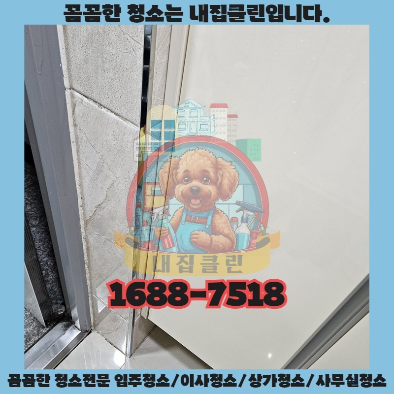 숨어있는 곰팡이, 어떻게 제거해야 할까