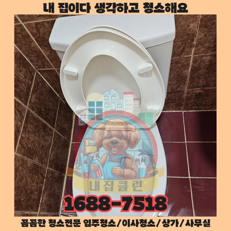 먼지 한 톨이 당신의 건강을 위협하는 충격적인 순간