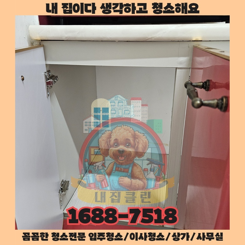 단순히 닦는 것을 넘어 미래의 오염까지 예방하는 방법