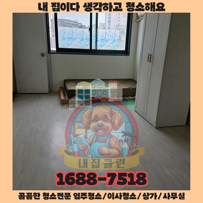 단 한 번의 청소가 새 보금자리의 미래를 바꾸는 방법