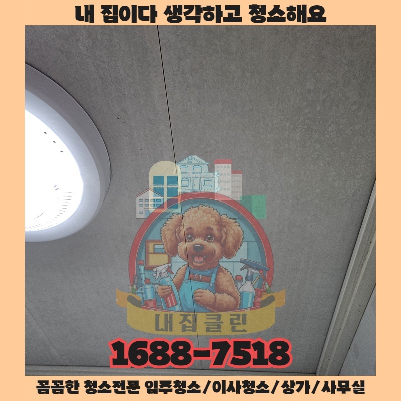 청소 전문가만 아는 공간 속 먼지 한 톨의 과학