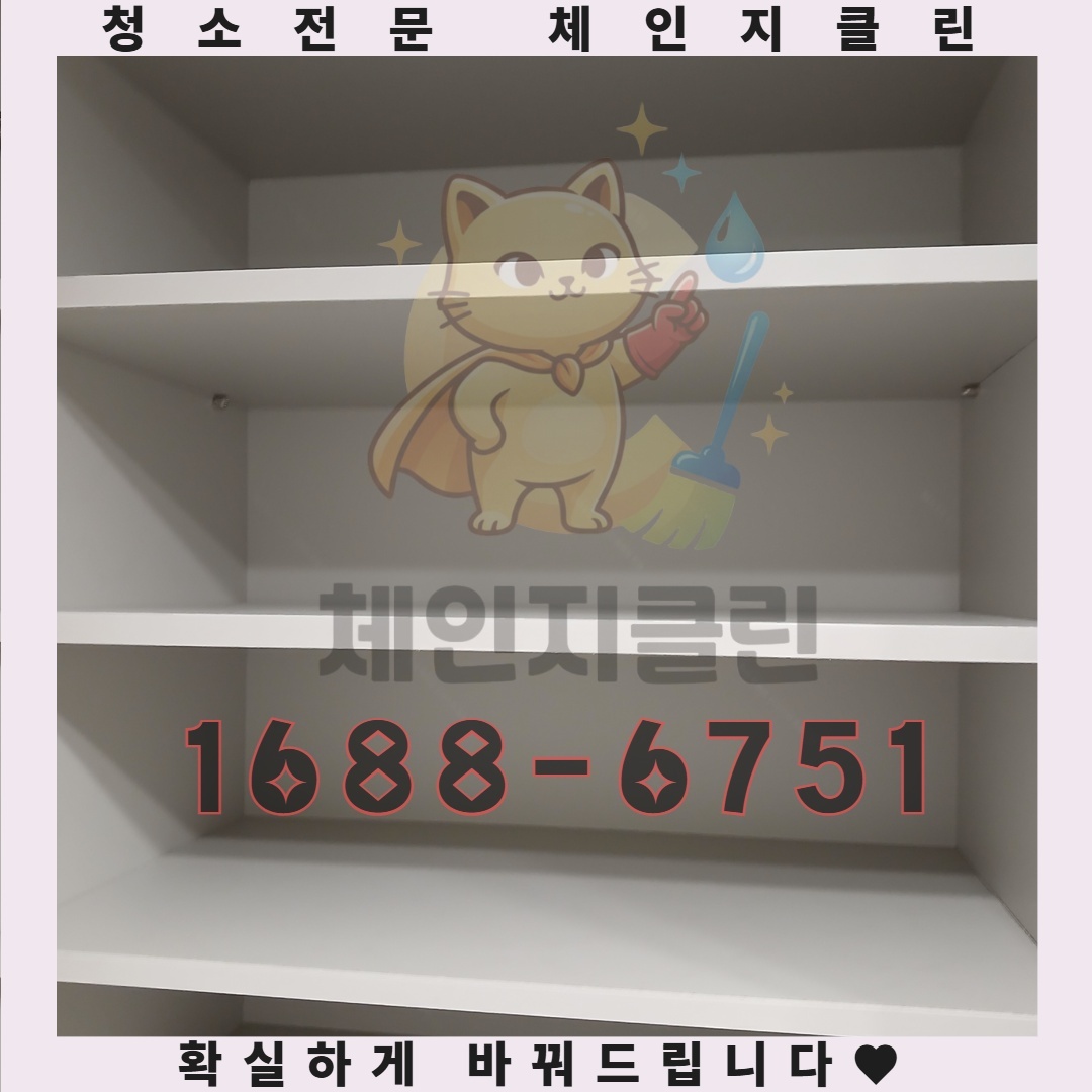 전문가의 손길로 완벽한 청소, 당신의 건강을 지키는 방법