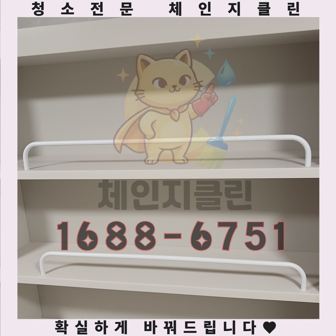 평범한 원룸에 숨겨진 전문가의 눈길이 닿는 곳