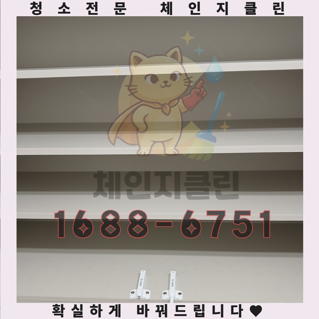 입주 후 느끼는 불쾌한 증상들은 어디서 오는 것일까요? 많은 사람들이 새집의 청결함을 기대하지만, 실상은 여러 오염물질이 숨어 있을 수 있습니다. 벽지나 바닥재에서 나오는 화학물질, 이전 거주자가 남긴 잔여물 등은 우리 건강에 직접적인 영향을 미칠 수 있습니다. 이를 예방하기 위한 철저한 청소가 필수적입니다.