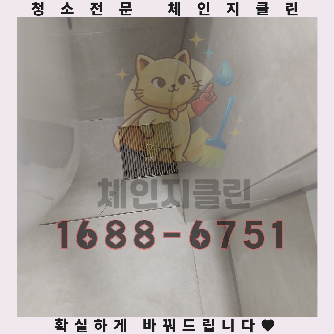 원룸 청소의 미세한 차이, 놓치기 쉬운 포인트는 무엇인가