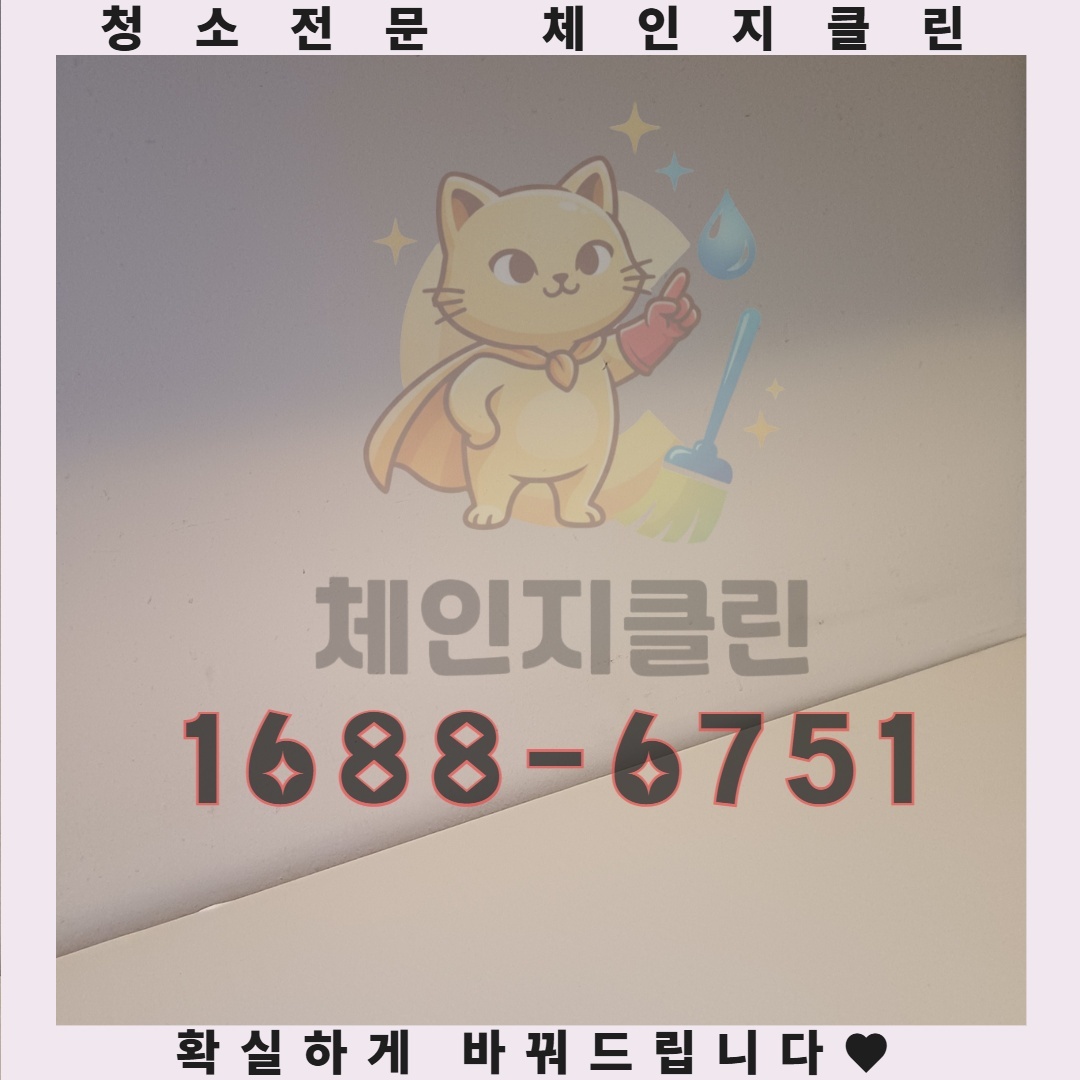 예상치 못한 비용 절감 방법과 입주청소 서비스의 진실