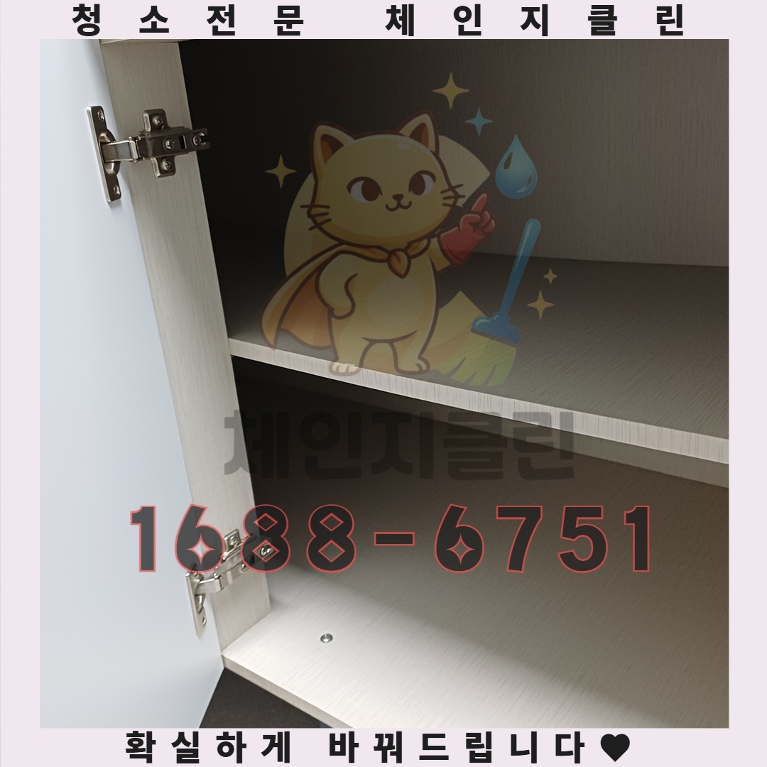 곰팡이가 자주 생기는 원인과 해결책의 비밀