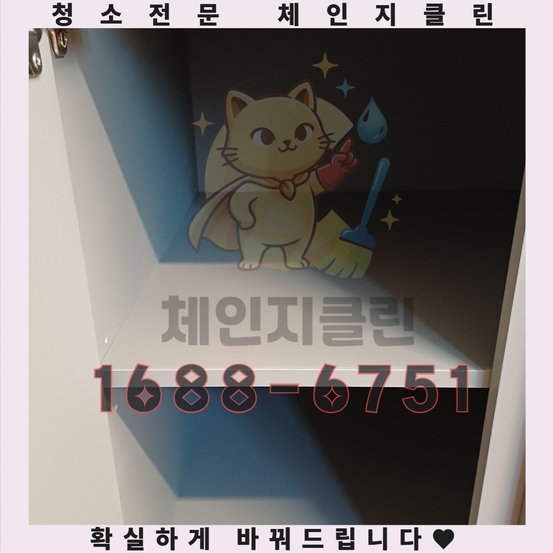 잘못된 선택이 당신의 보금자리에 남기는 보이지 않는 이야기