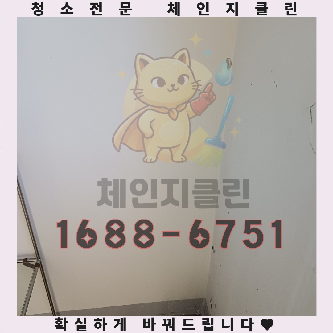 당신의 방 한 켠에 숨겨진 더러운 비밀, 입주청소로 해결하는 법