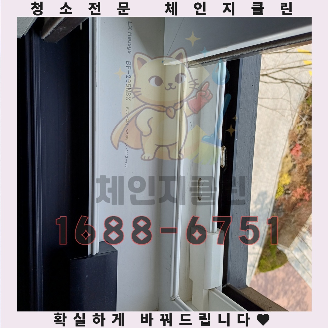 베테랑 팀장님이 전하는 이사청소의 숨겨진 팁과 노하우