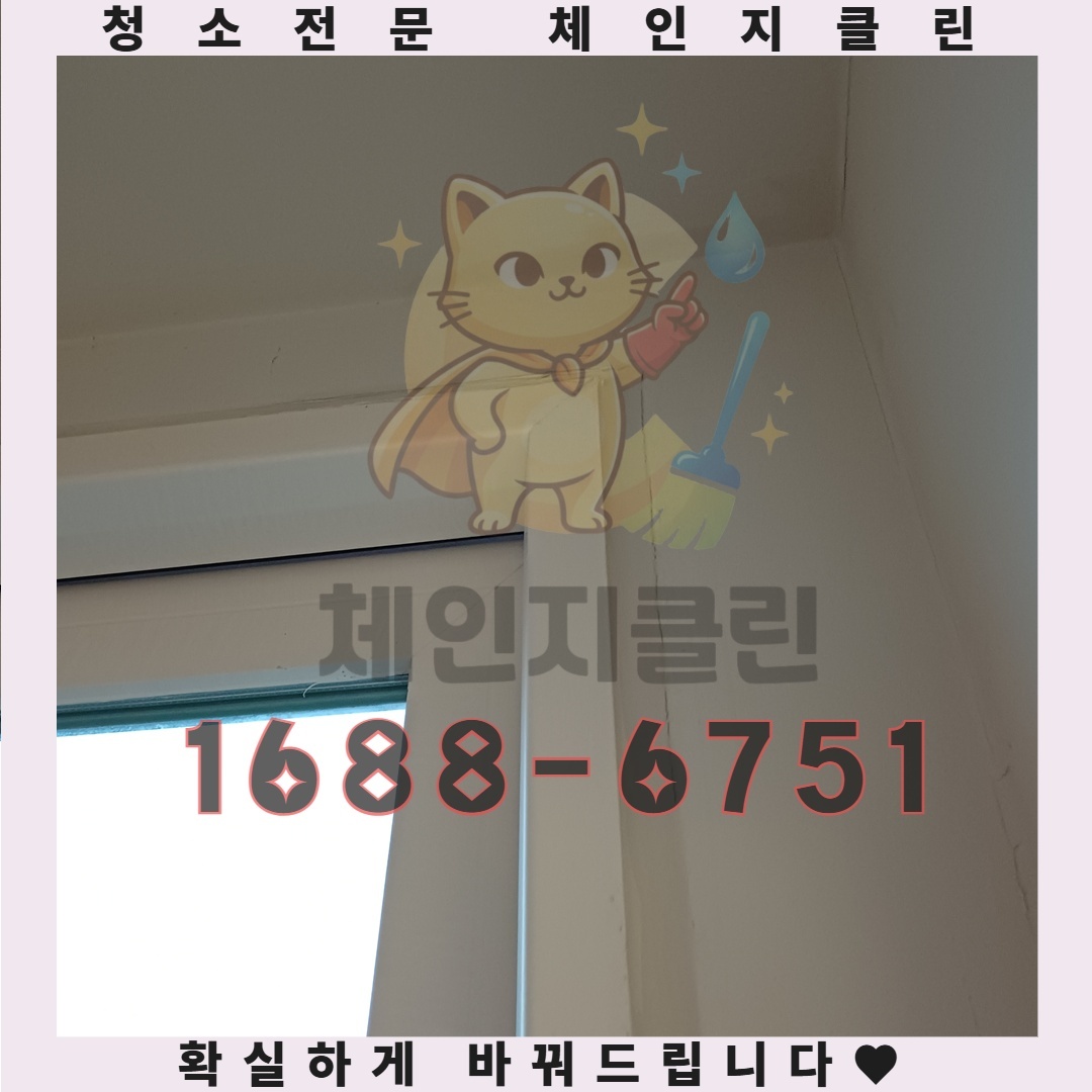 이사청소 후 삶의 질이 달라지는 순간, 당신은 준비가 되었나요