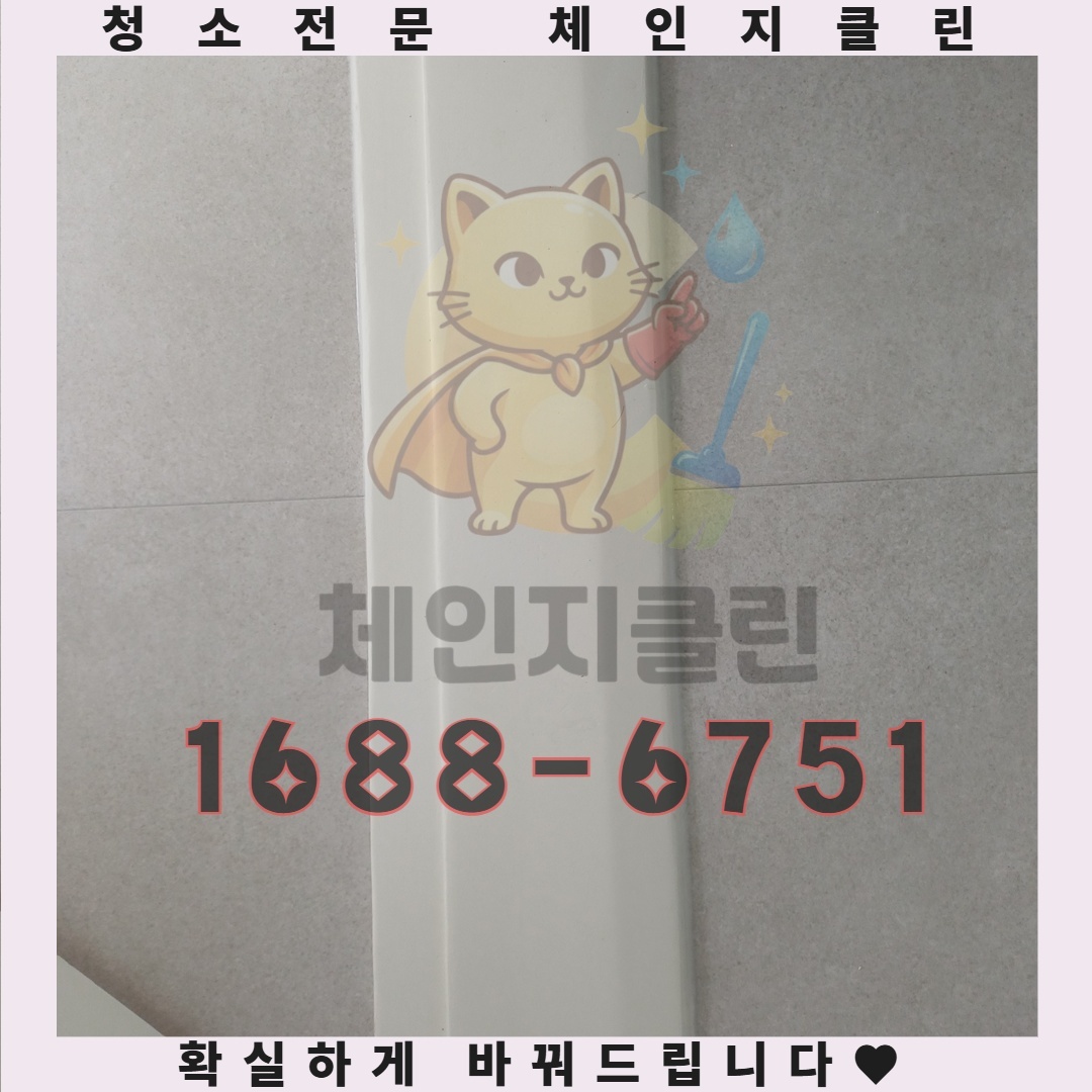 안전한 청소와 건강한 생활 환경을 위한 필수 팁
