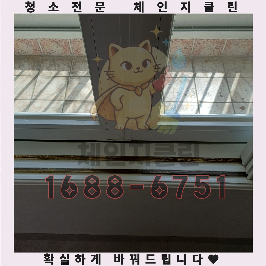 리모델링의 비밀스러운 후폭풍, 폐기물 청소의 진짜 이유