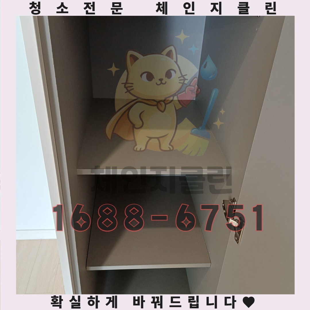 전문가의 손길로 차원이 다른 청소를 경험하다