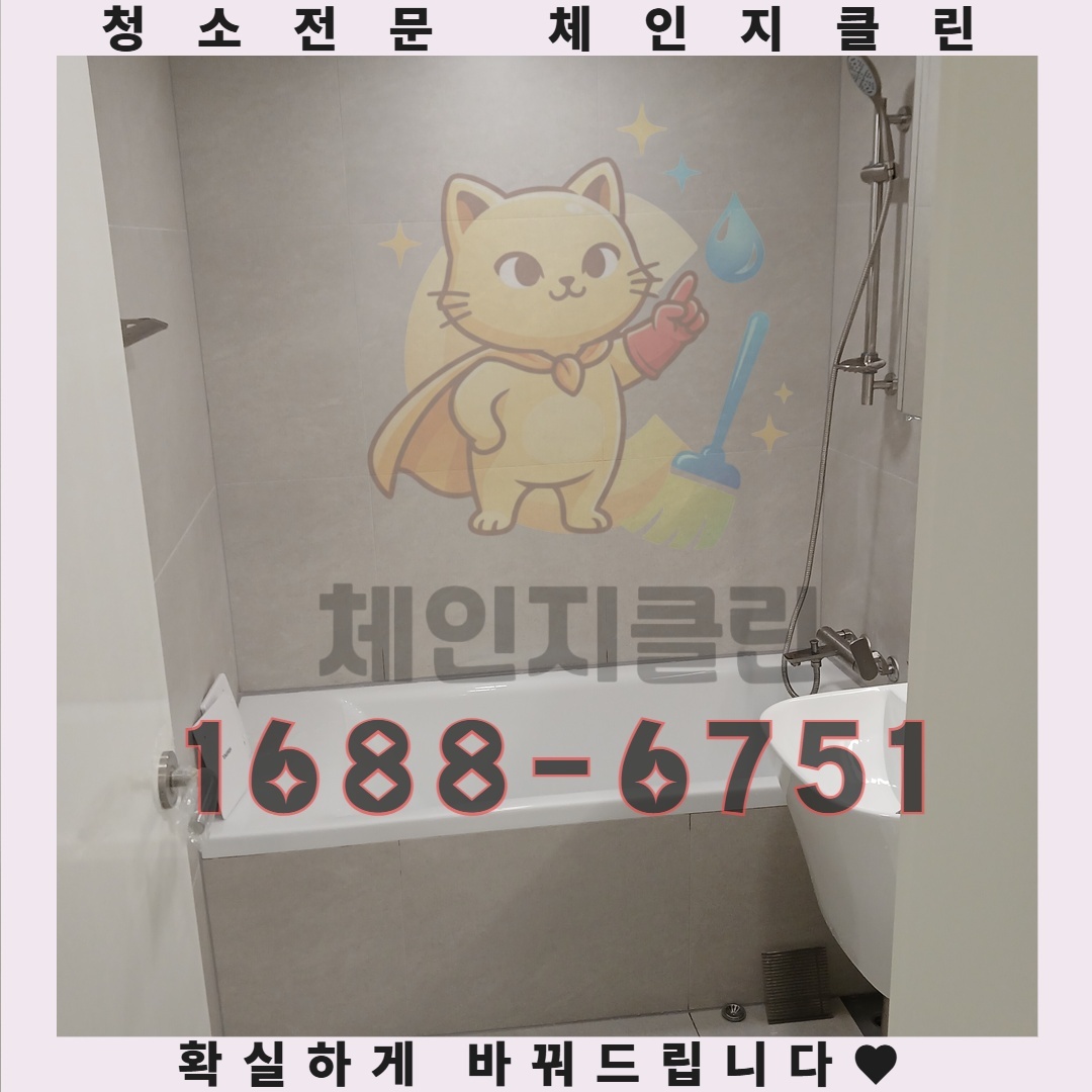 프로 청소업체의 비밀, 효과적인 곰팡이 제거 방법