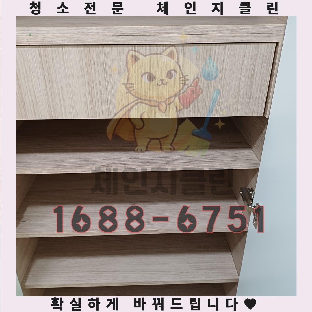 혼자 사는 집의 숨겨진 청소 비밀