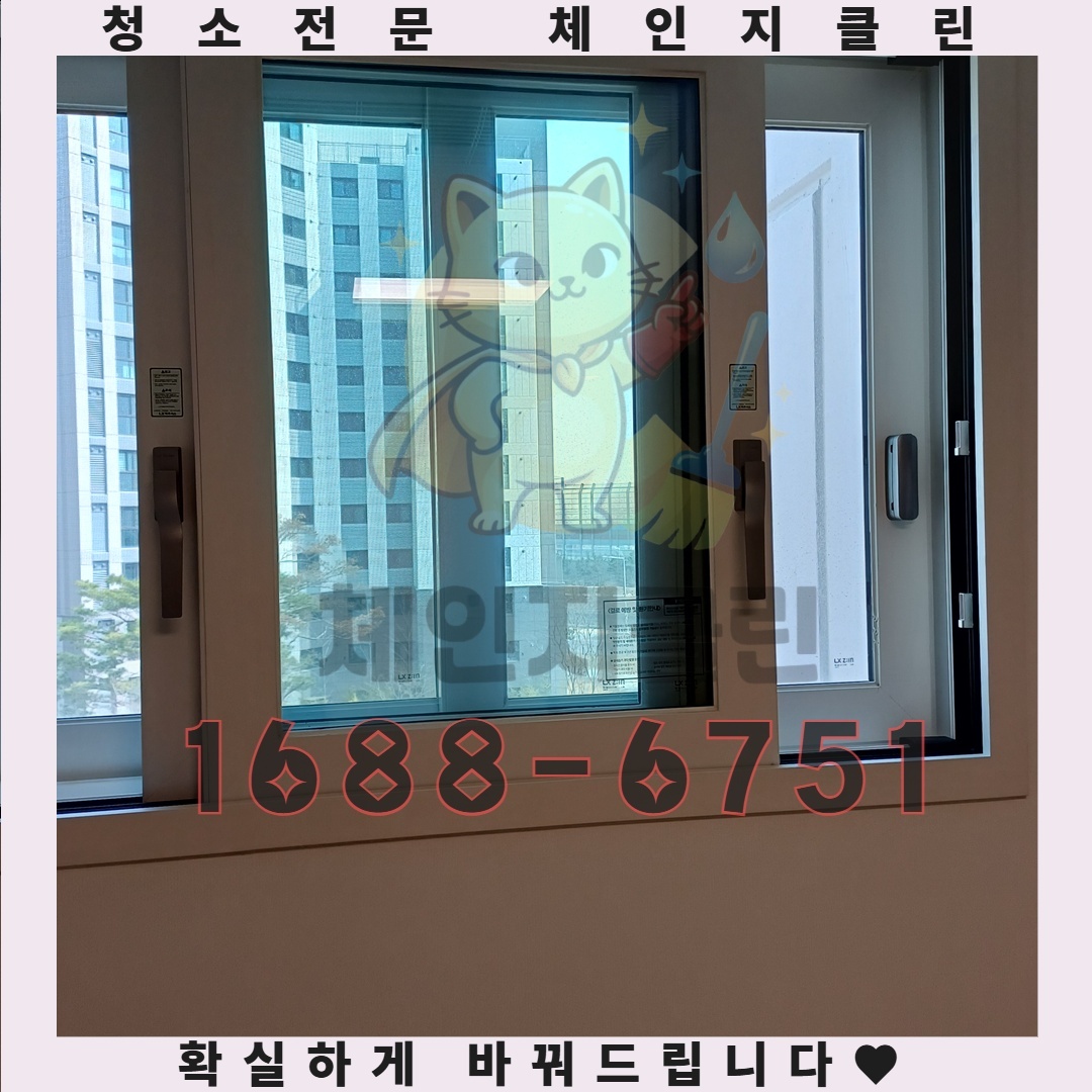 원룸 청소, 당신의 공간을 최대한 활용하는 비밀