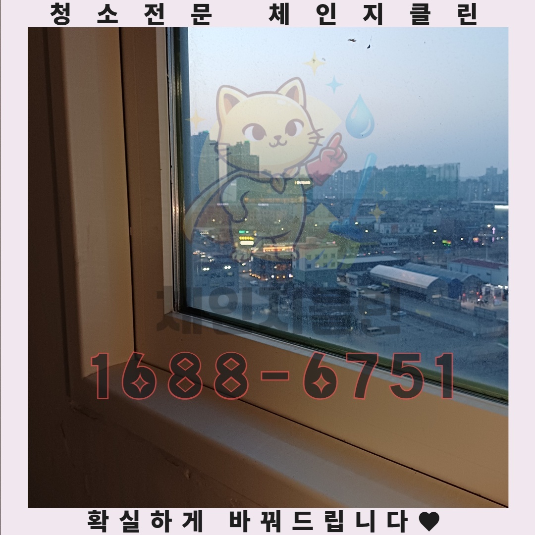 입주청소 후 관리 비법, 깨끗함을 오래 유지하는 노하우 공개