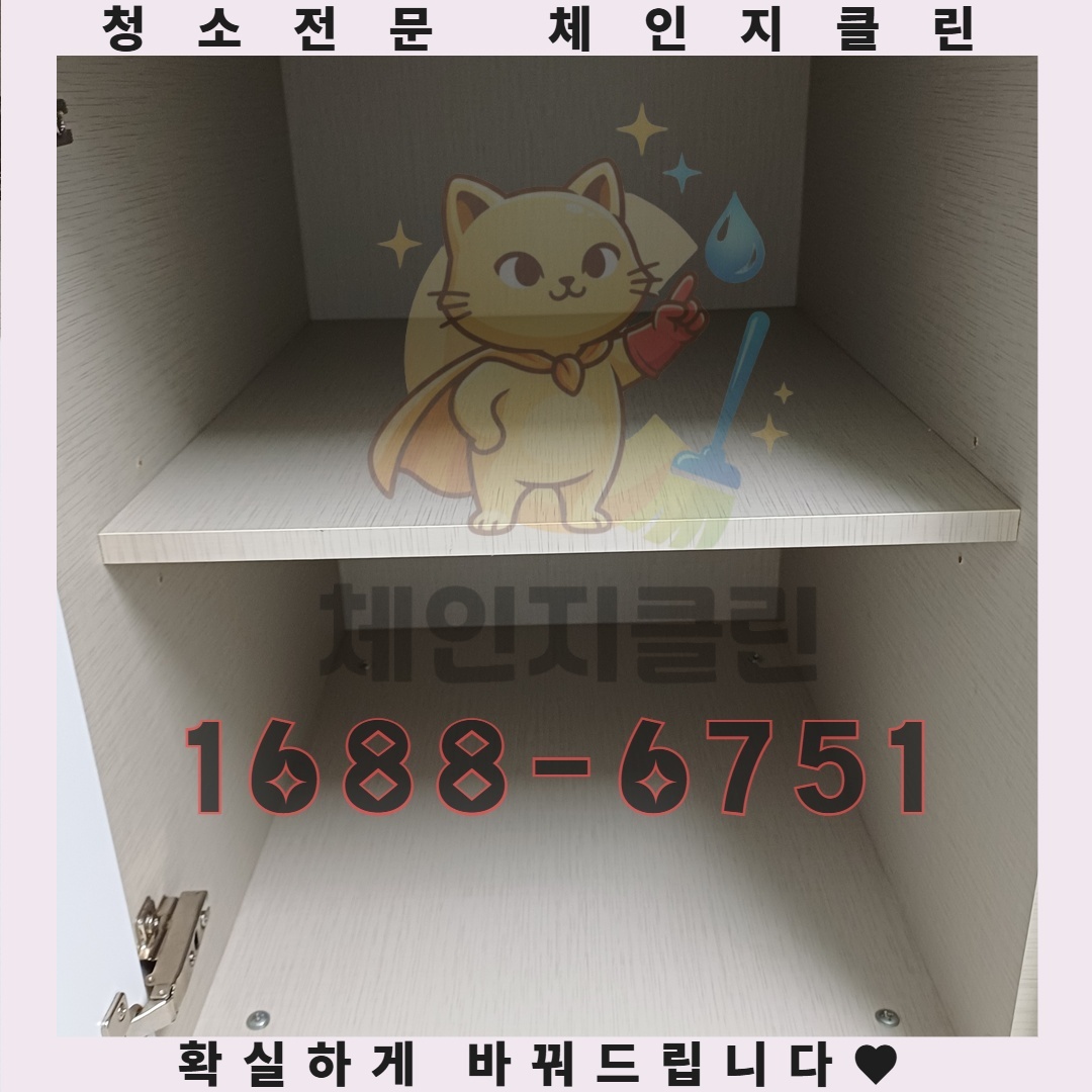 당신의 원룸 구석에서 발견될 예상치 못한 진실들