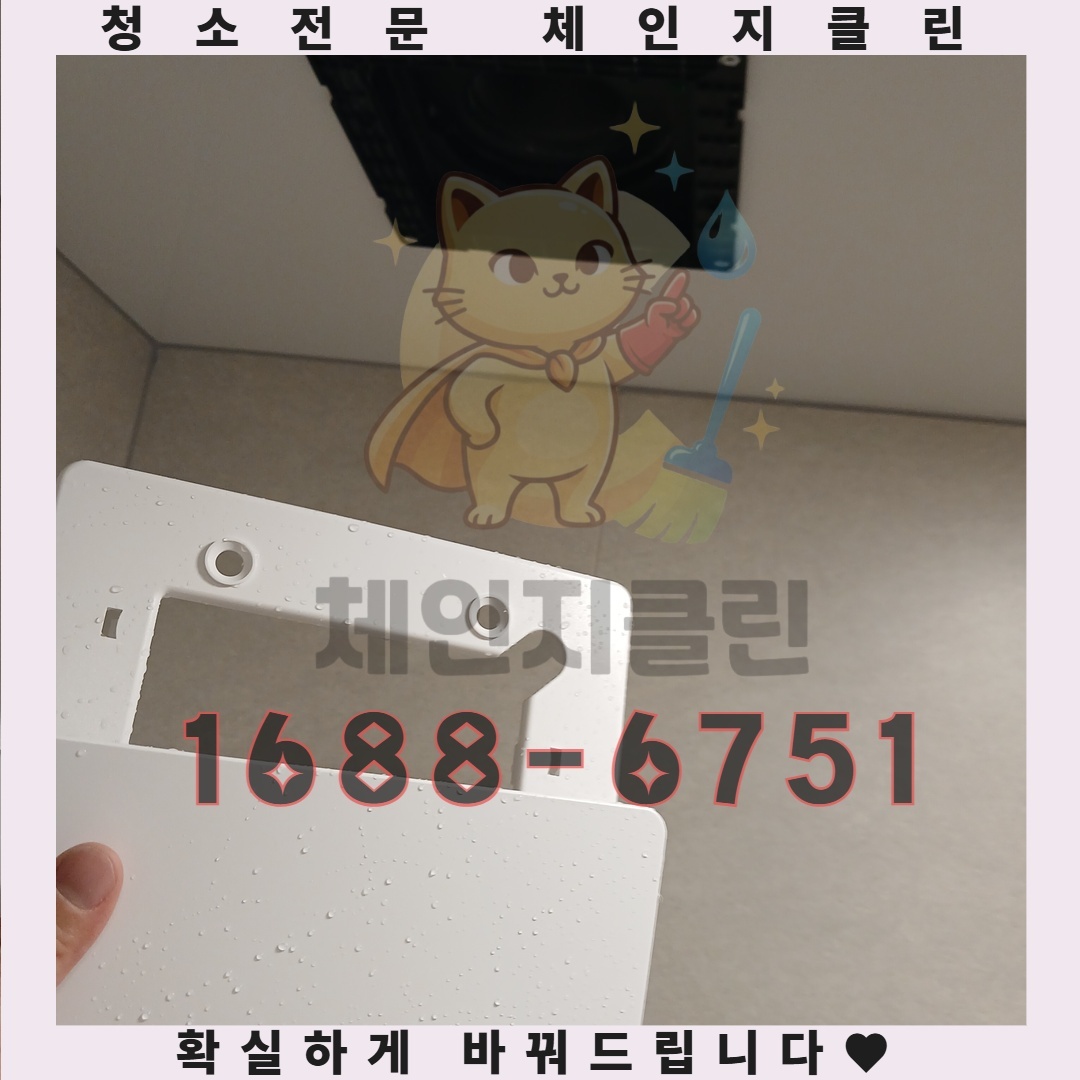 당신의 건강을 위협하는 이사 후 발견되는 알레르기 유발 물질