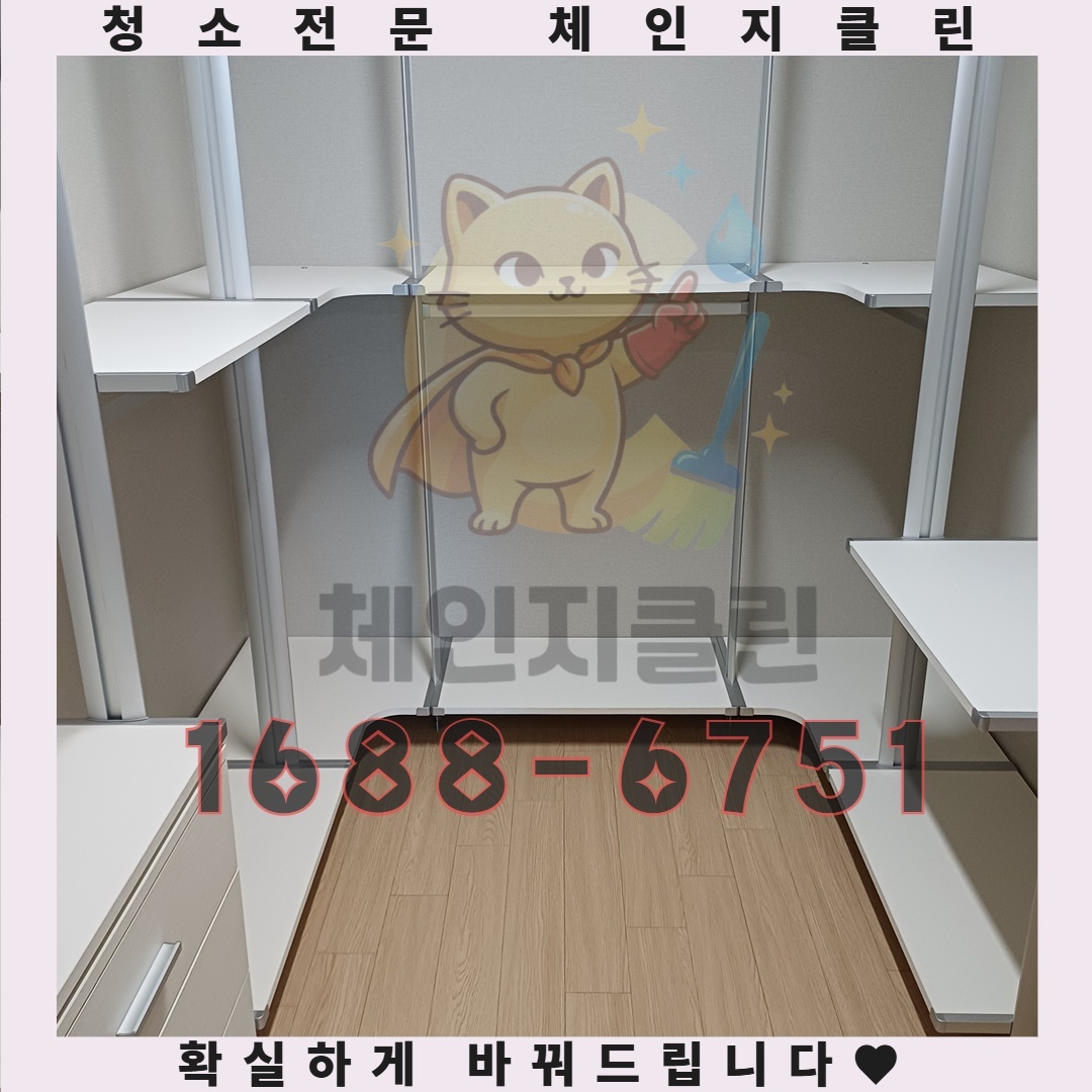 곰팡이가 남긴 흔적, 당신의 건강을 위협하는 이유