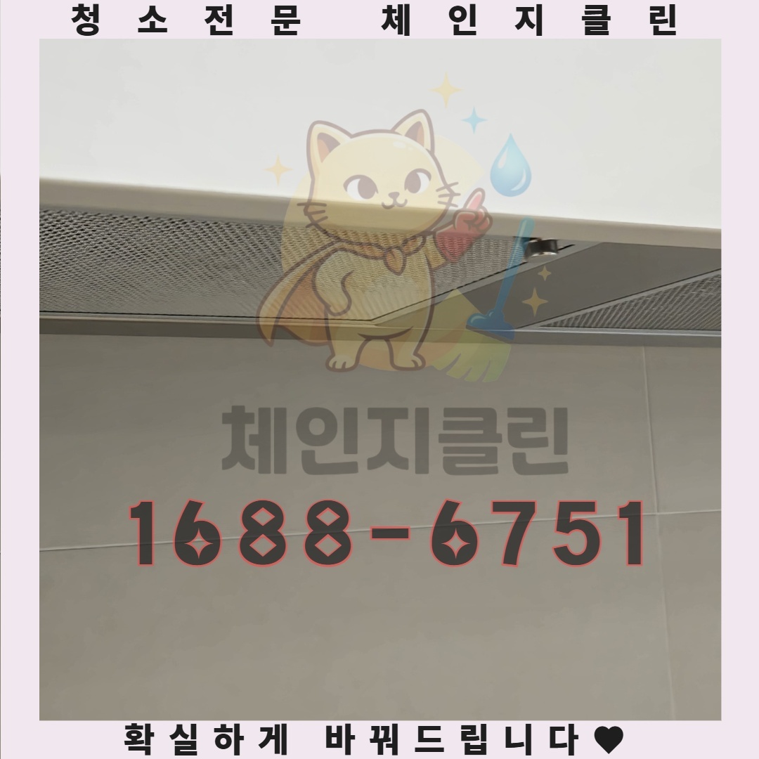 고객들이 말하는 이사청소의 결정적 차이, 어떤 점이 특별할까