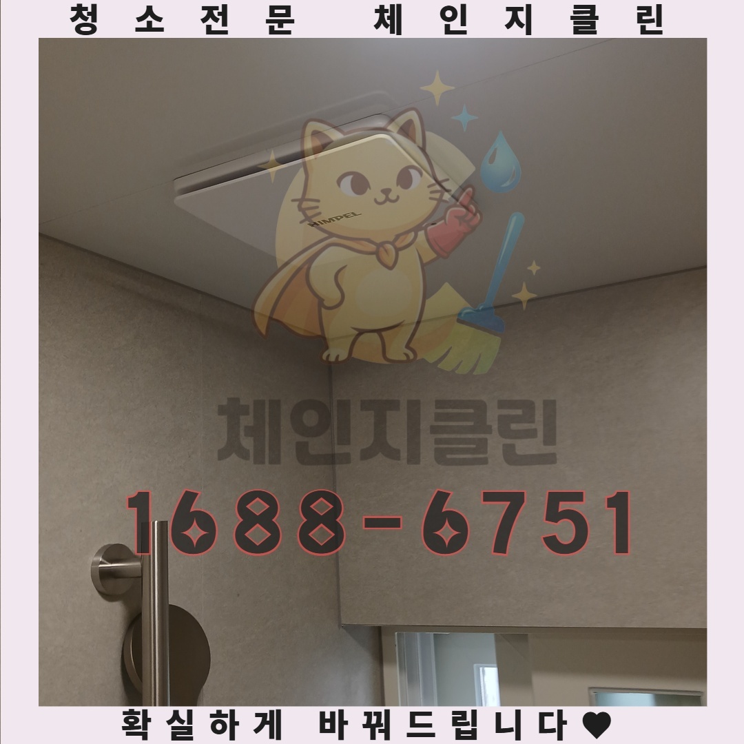 가격에 숨겨진 진실, 저렴함의 이면을 파헤치다  