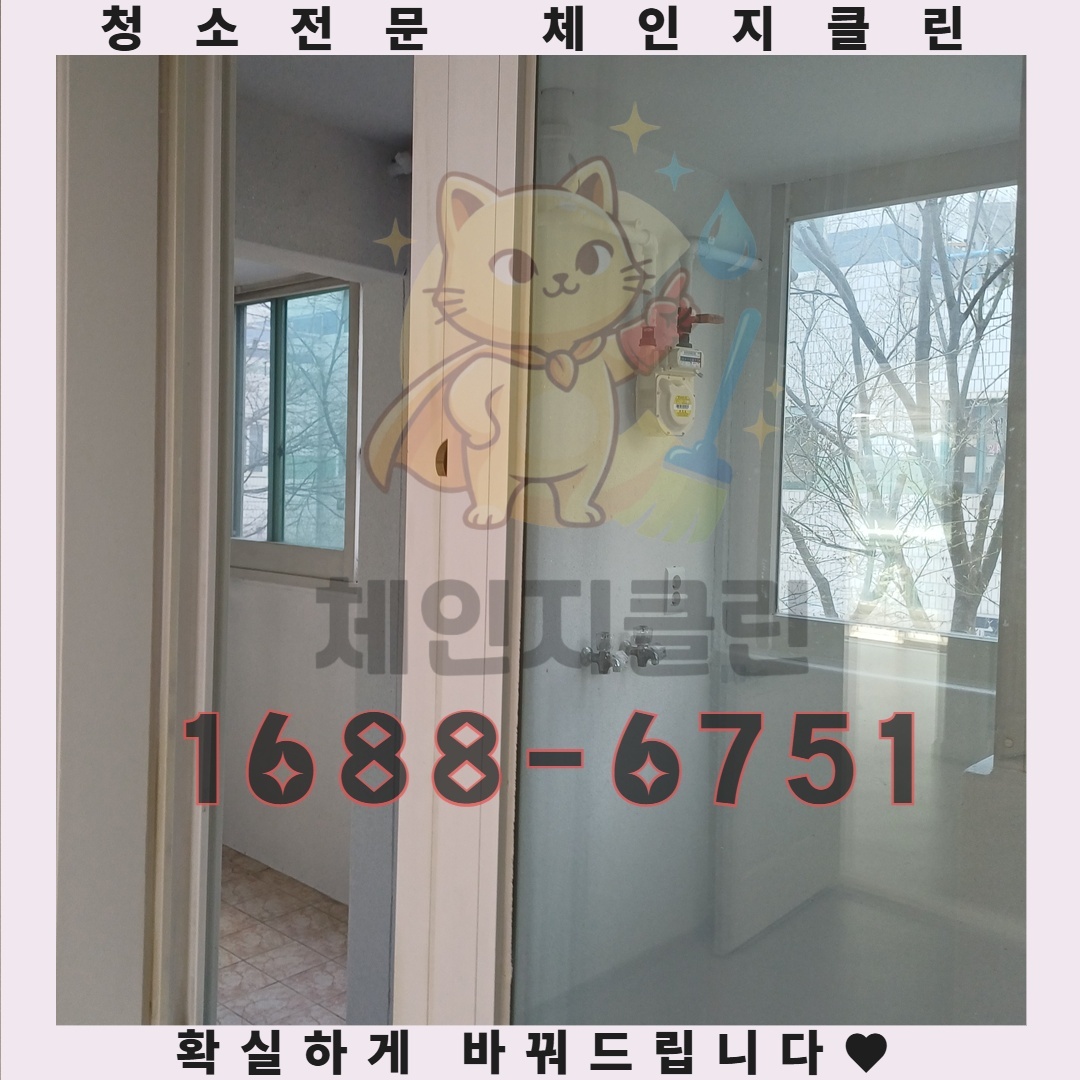 특수청소의 숨은 이점이 당신의 삶을 어떻게 혁신할 수 있는가