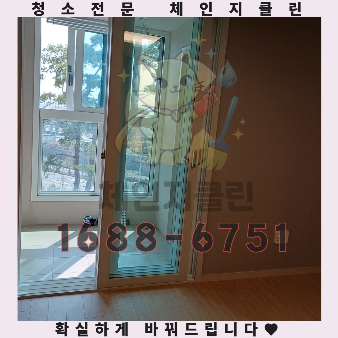 주방 청소의 정석, 기름때 제거로 얻는 놀라운 변화를 경험하세요