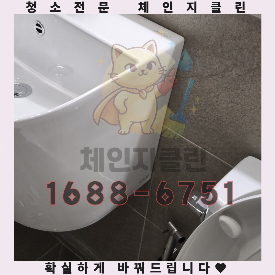 화장실 악취의 진짜 원인, 제대로 알고 대처하기