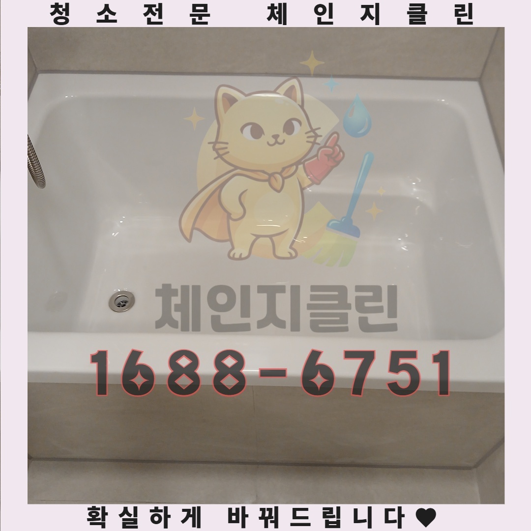 입주청소만으로 해결되지 않는 문제의 진짜 이유